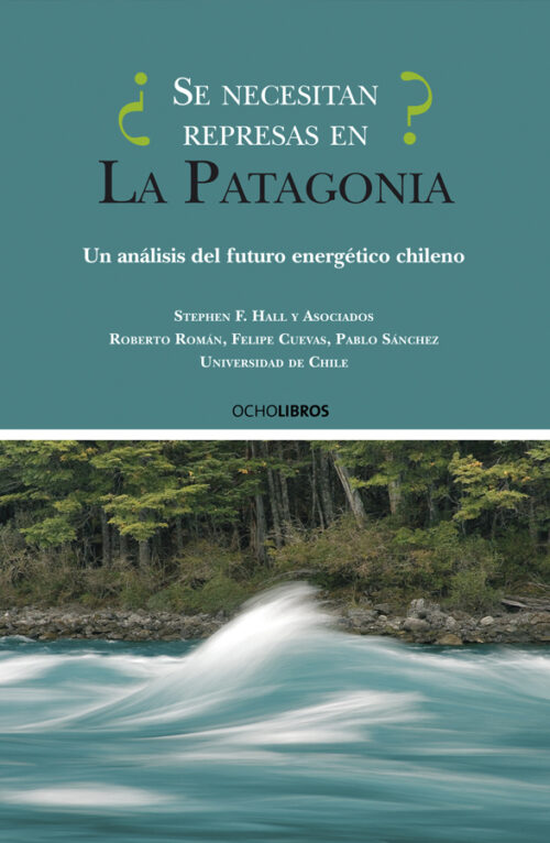 ¿Se necesitan represas en la Patagonia?